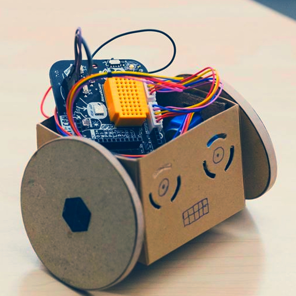 Robot In A Can project
